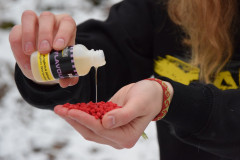 Mivardi Rapid Flavour - Česnek (50ml)