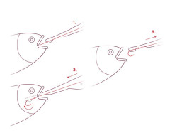 DELPHIN Vyběrač háčků Delphin HOOKY