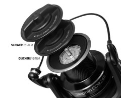 DELPHIN CORZAR 8T 6+1