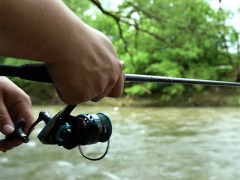 DELPHIN IXCELA 3T AL BODY veľ. 3000