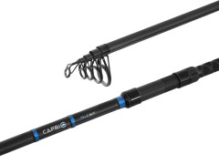 DELPHIN CAPRI Tele NXT