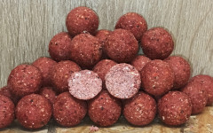 RAPTOR BAITS Krmné boilies 5kg EDICE ČVACHTA