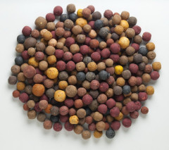 Mivardi Rapid Boilies - Multi Mix (2,5kg)